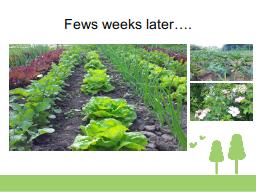Slide 9